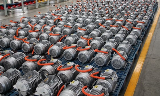 皖南電機:汽車轉向泵電機2 皖南電機:汽車轉向泵電機2