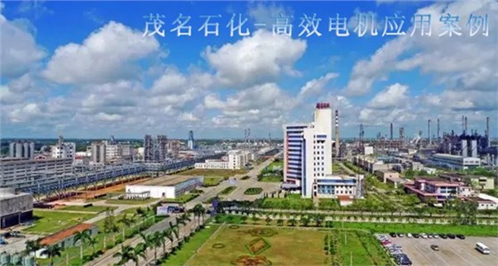 高效節能電機 高效節能電機