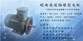皖南防爆高效電機 皖南防爆高效電機