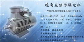變頻防爆電機 變頻防爆電機