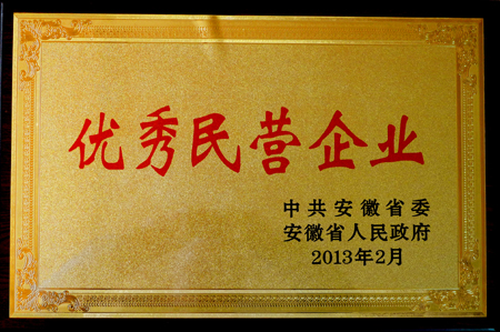 皖南電機：優秀民營企業