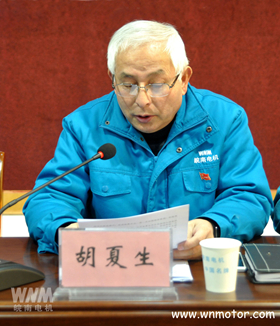 皖南電機監事會主席胡夏生作監事會工作報告_副本 皖南電機監事會主席胡夏生作監事會工作報告_副本