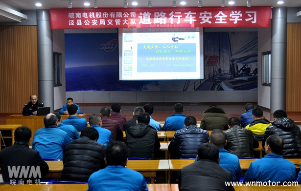 皖南電機 皖南電機