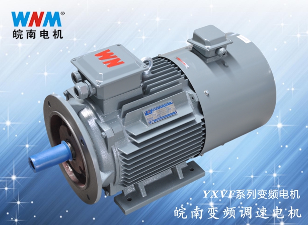 皖南變頻電機(jī) 皖南變頻電機(jī)