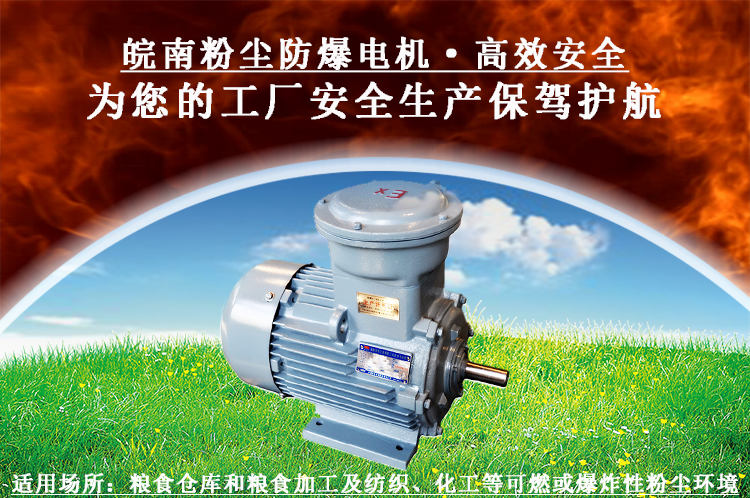粉塵防爆電機 粉塵防爆電機
