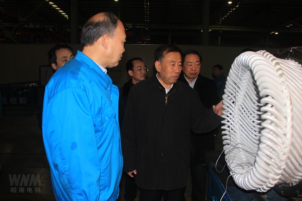 安徽省人大副主任詹夏來來皖南電機考察調研 安徽省人大副主任詹夏來來皖南電機考察調研