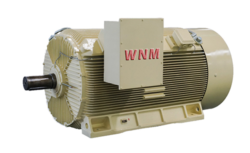 Y2系列高壓三相異步電動機 Y2系列高壓三相異步電動機