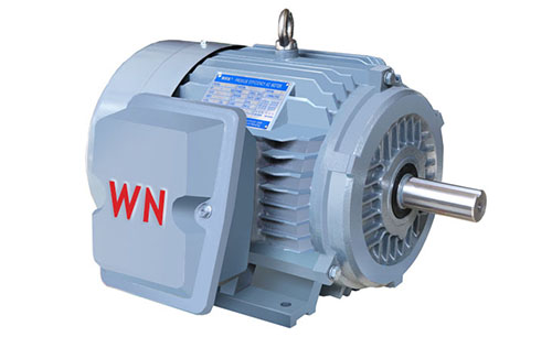 NE系列高效高轉矩三相異步電動機 NE系列高效高轉矩三相異步電動機