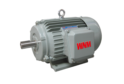 YJZ2系列機(jī)床專(zhuān)用三相異步電動(dòng)機(jī) YJZ2系列機(jī)床專(zhuān)用三相異步電動(dòng)機(jī)