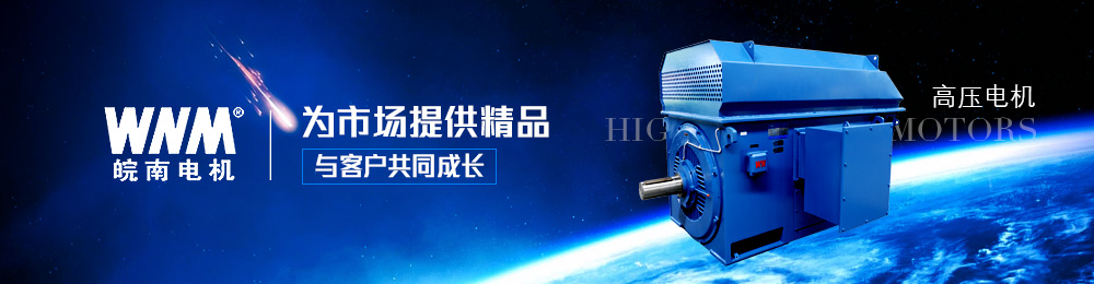 高壓電機(jī) 高壓電機(jī)